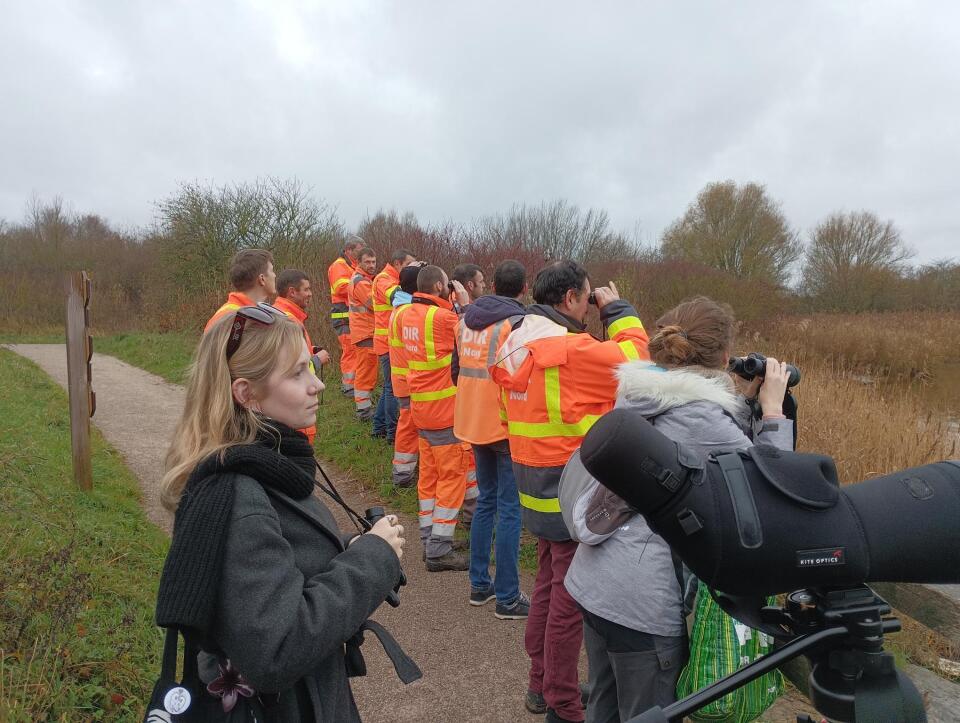Sortie ornitho pour les agents de la DIR Nord !